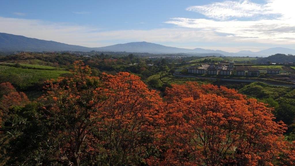 Vivir al aire libre y rodeado de verde