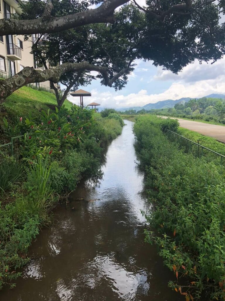 El Canal fluye y provee relajación
Viviendas en costa rica rodeadas de naturaleza
Vivir en paz
vivir rodeado de naturaleza
viviendas en costa rica
viviendas en condominio
casas en costa rica
apartamentos en costa rica
condominio el canal
comprar vivienda en costa rica
condominio el canal grecia
condominio montezuma
casas nuevas costa rica
comprar vivienda en costa rica
costa rica bienes raices
costa rica vivienda