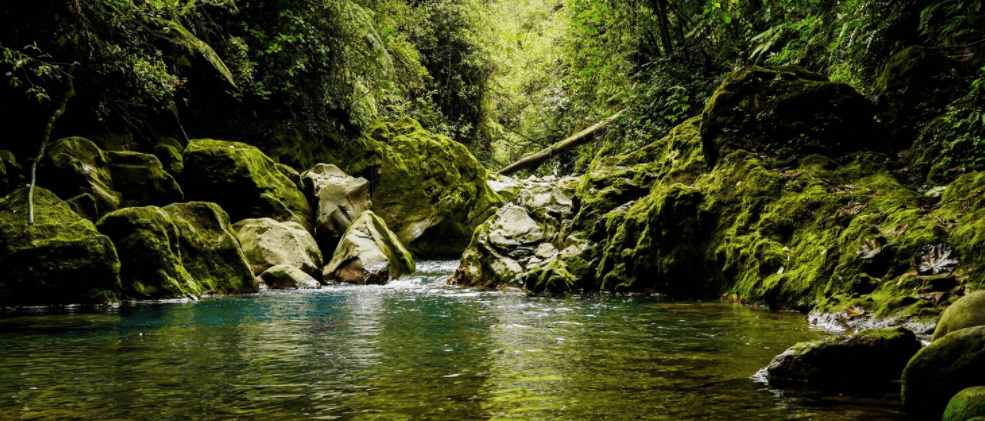 Una catarata que evoca paz, tranquilidad
Casas en costa rica con mucha naturaleza y mucho verde
Vivir en paz
vivir rodeado de naturaleza
viviendas en costa rica
viviendas en condominio
casas en costa rica
apartamentos en costa rica
condominio el canal
comprar vivienda en costa rica
condominio el canal grecia
condominio montezuma
casas nuevas costa rica
comprar vivienda en costa rica
costa rica bienes raices
costa rica vivienda