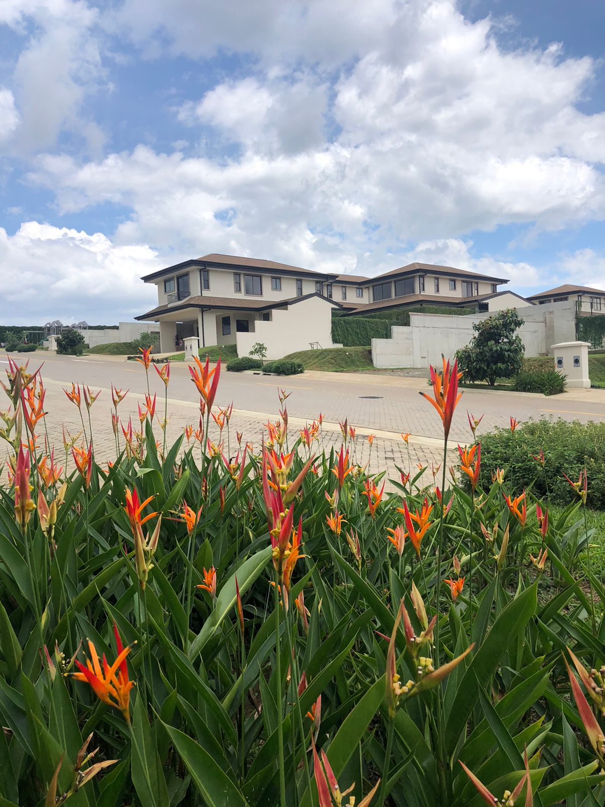 Los jardines del Condominio El Canal