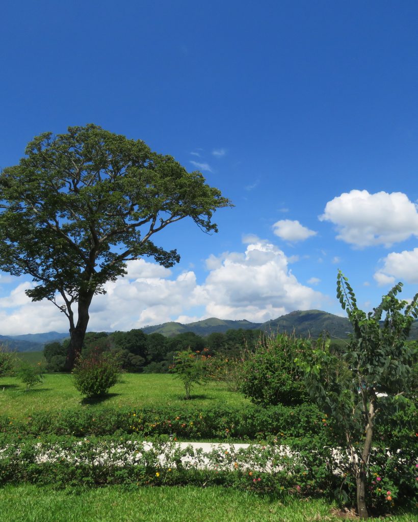La casa club tiene un parque pequeño al lado. Es un árbol y más arbolitos. Es todo muy muy verde.
Condominio El Canal es un desarrollo inmobiliario ubicado en Grecia. Puedes comprar apartamentos y casas. Los apartamentos son pequeños y grandes. Tienen vistas y balcones. Las casas son cinco modelos. Es un estilo de vida en la naturaleza, tranquilo, familiar.
KEYWORDS
Vivir en paz
vivir rodeado de naturaleza
viviendas en costa rica
viviendas en condominio
casas en costa rica
apartamentos en costa rica
condominio el canal
comprar vivienda en costa rica
condominio el canal grecia
condominio montezuma
casas nuevas costa rica
comprar vivienda en costa rica
costa rica bienes raices
costa rica vivienda
condominio con piscina