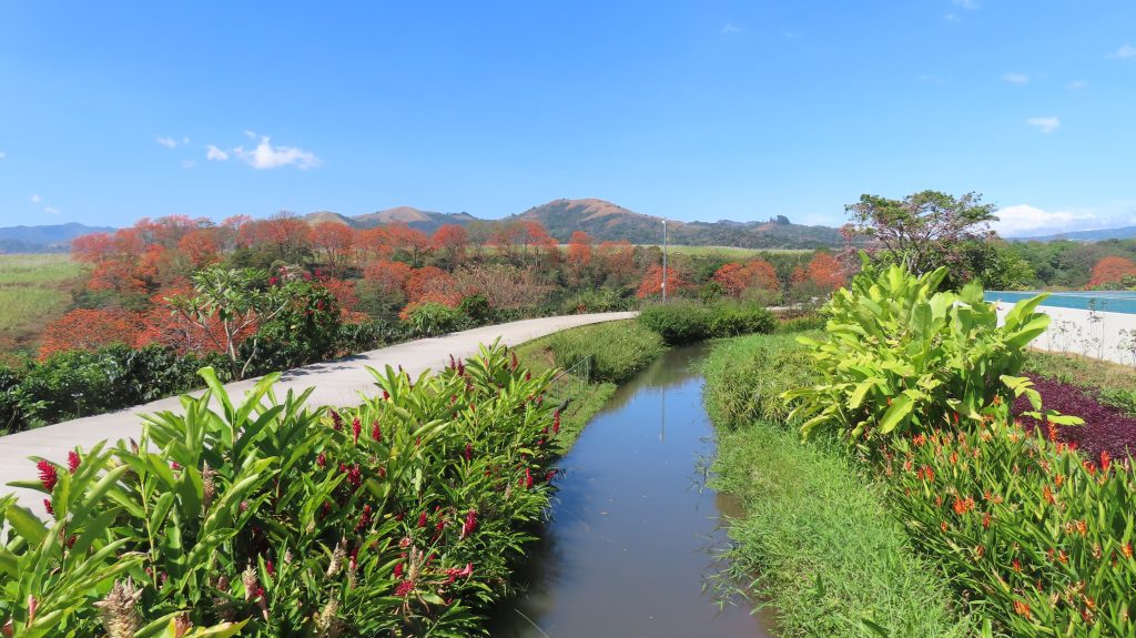 El Sendero del Canal es una pequeña caminata para despertar el cuerpo. El canal es un pequeño cuerpo de agua, como un río que fluye. Está rodeado de plantas arbolitos y flores. Llegan colibries, abejas y otros animalitos e insectos.
Condominio El Canal es un desarrollo inmobiliario ubicado en Grecia. Puedes comprar apartamentos y casas. Los apartamentos son pequeños y grandes. Tienen vistas y balcones. Las casas son cinco modelos. Es un estilo de vida en la naturaleza, tranquilo, familiar.
KEYWORDS
Vivir en paz
vivir rodeado de naturaleza
viviendas en costa rica
viviendas en condominio
casas en costa rica
apartamentos en costa rica
condominio el canal
comprar vivienda en costa rica
condominio el canal grecia
condominio montezuma
casas nuevas costa rica
comprar vivienda en costa rica
costa rica bienes raices
costa rica vivienda
condominio con piscina