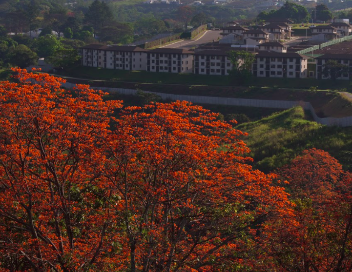 Los porós naranjas: vistas ricas en colores