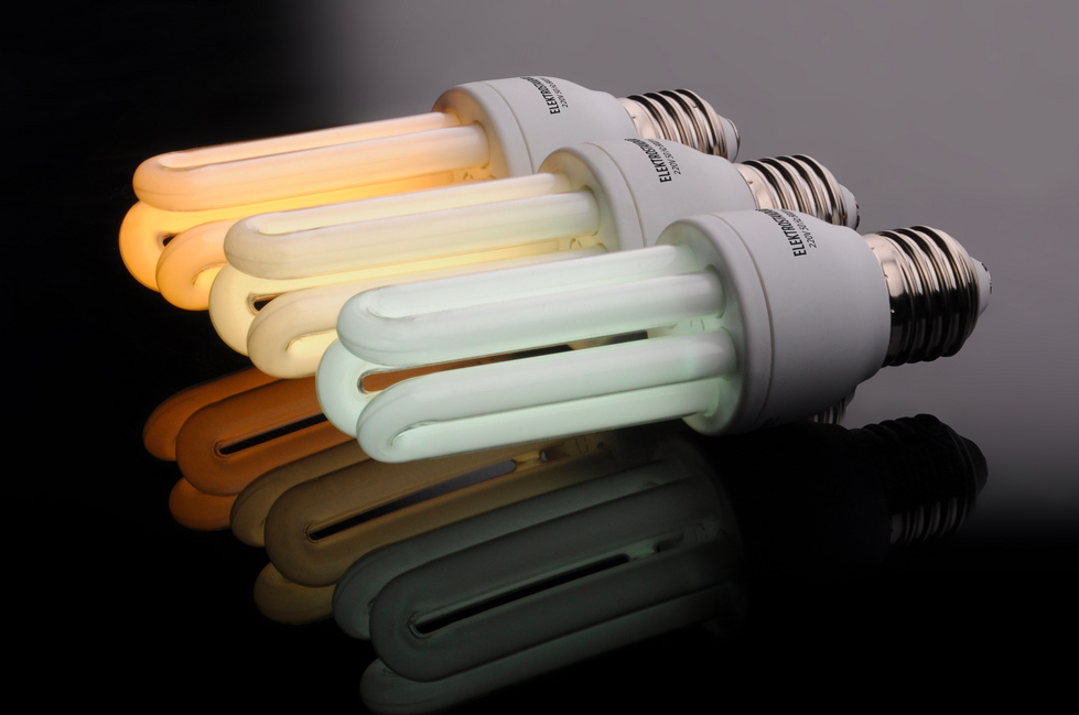Ideas sostenibles: 5 maneras fáciles para ahorrar electricidad y energía