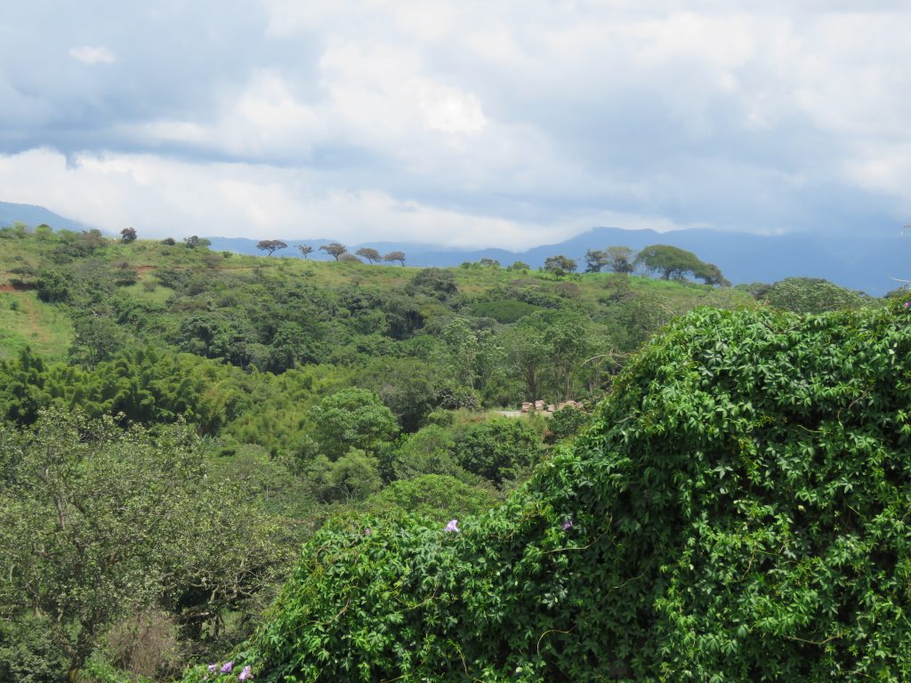 El verde abundante. Esta es la vista desde el lado norte del Sendero del Canal. Puedes ver las vistas a las montañas cercanas al volcán Poás, se pueden ver las montañas llenas de verde, arbustos, árboles y vegetación floreciente.
Vivir en paz
vivir rodeado de naturaleza
viviendas en costa rica
viviendas en condominio
casas en costa rica
apartamentos en costa rica
condominio el canal
comprar vivienda en costa rica
condominio el canal grecia
condominio montezuma
casas nuevas costa rica
comprar vivienda en costa rica
costa rica bienes raices
costa rica vivienda