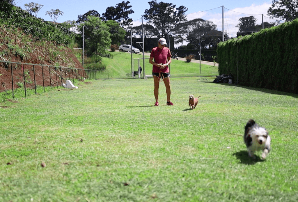 Un parque de perros con dos perros y una persona. Es un espacio verde, tranquilo.
Condominio El Canal es un espacio diseñado para el bienestar, el deporte y la recreación.
https://www.condominioelcanal.com/
Vivir en paz
vivir rodeado de naturaleza
viviendas en costa rica
viviendas en condominio
casas en costa rica
apartamentos en costa rica
condominio el canal
comprar vivienda en costa rica
condominio el canal grecia
condominio montezuma
casas nuevas costa rica
comprar vivienda en costa rica
costa rica bienes raices
costa rica vivienda
condominio con piscina