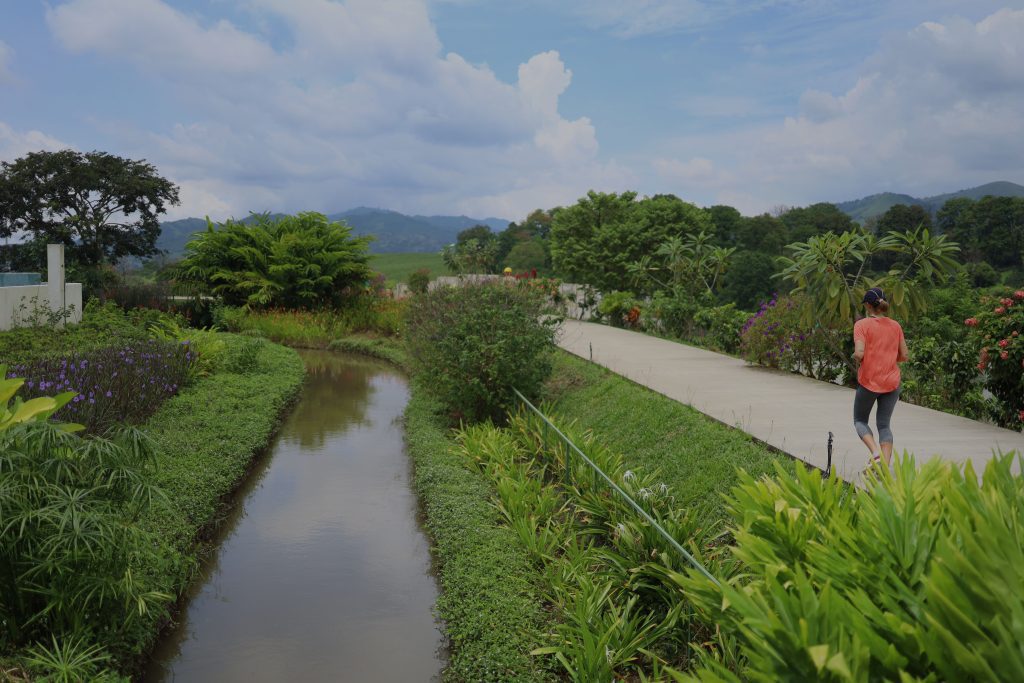 El Canal se llama el Canal porque tenemos un cuerpo de agua que decora y bordea las amenidades. Es un canal de agua que hemos decorado con árboles, plantas y se ha creado un ambiente natural hermoso. Se puede caminar o trotar alrededor de este y disfrutar de las vistas.
Vivir en paz
vivir rodeado de naturaleza
viviendas en costa rica
viviendas en condominio
casas en costa rica
apartamentos en costa rica
condominio el canal
comprar vivienda en costa rica
condominio el canal grecia
condominio montezuma
casas nuevas costa rica
comprar vivienda en costa rica
costa rica bienes raices
costa rica vivienda